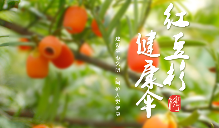 檢測壓縮空氣檢測儀